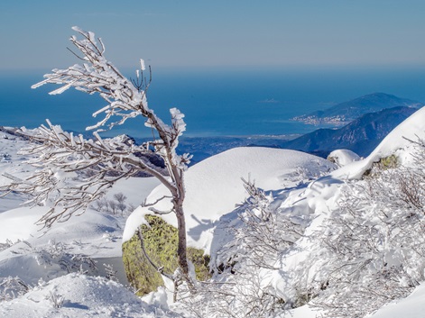 Neige de Méditerranée: séjour raquettes en Corse